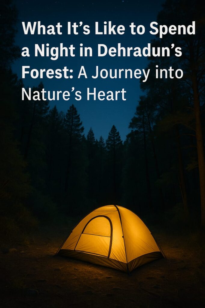 Want to spend a night in Dehradun's forest. Discover the serene beauty and thrilling experiences of spending a night, must-read for nature enthusiasts and adventure seekers.