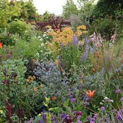 Easy Garden Ideas