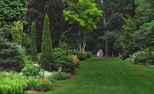 Easy Garden Ideas