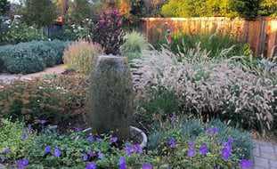 Easy Garden Ideas